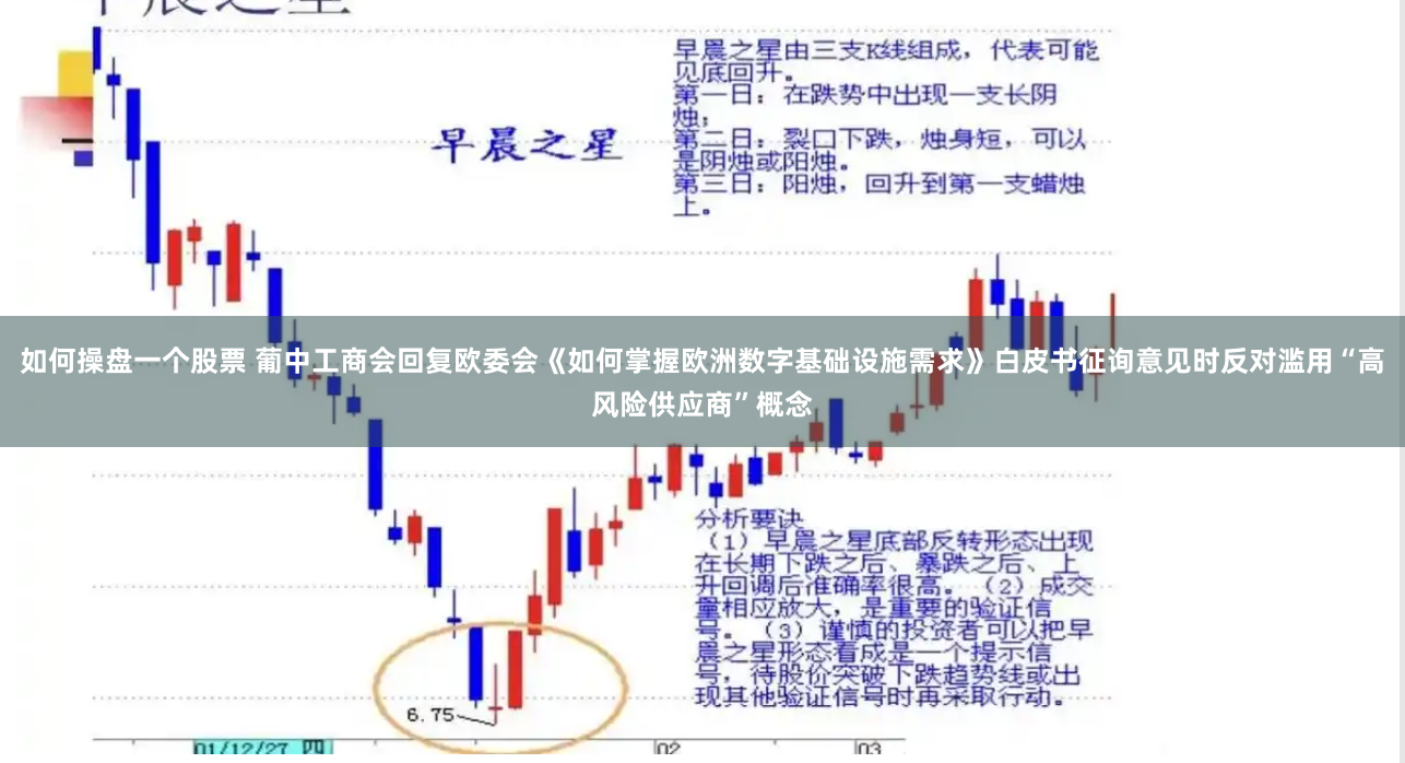 如何操盘一个股票 葡中工商会回复欧委会《如何掌握欧洲数字基础设施需求》白皮书征询意见时反对滥用“高风险供应商”概念